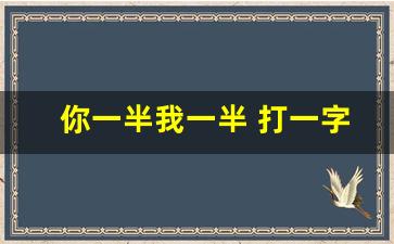 你一半我一半 打一字